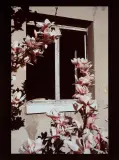 SEENS XIII by Krzysztof Zieliński, 2007, fotografia barwna, papier, offered Dec 2022