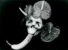 Natalia LL, MARZENIA BRUNHILDY, 1993, fotografia czarno-biała, papier