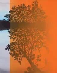 Łukasz Patelczyk, ORANGE GLASS, 2019, olej, płótno