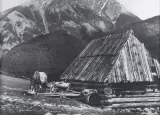 Edward Hartwig, TATRY. DOLINA CHOCHOŁOWSKA, PO 1945