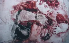 Wojciech Bąkowski, Ptasie mleczko, 2006, fotografia barwna, papier