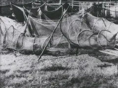 Edward Hartwig, Sieci rybackie na Helu, fotografia czarno-biała, papier