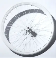 KOŁO by Zbigniew Rogalski, 2008, fotografia, offered Oct 2022