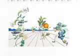 Flordali ® I by Salvador Dalí, 1981, litografia barwna, wypukłodruk, papier, offered Aug 2022