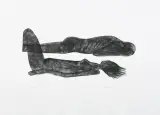 Jolanta Johnsson, Human 5, folioryt, karton