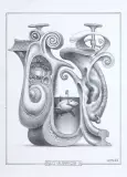 GĄSZCZ KALIGRAFICZNY -U by Jacek Yerka, 2022, ołówek, karton, sold Jun 2022