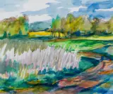 Sergiusz Grudkowski, ŻABI STAW, Z CYKLU „MAZOWSZE”, 2005, akwarela, papier