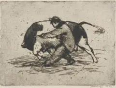 Ludwik Maciąg, Walka z bykiem, 1949, akwatinta, papier