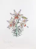 LILIUM AURATIUM FORMICANS by Salvador Dalí, 1972, heliograwiura, papier z suchą pieczęcią Arches, sold Mar 2022