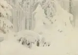 Maciej Nehring, OKIŚĆ NA ŚWIERKACH, akwarela, karton
