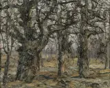 Włodzimierz Zakrzewski, JABŁONNA - DĘBY