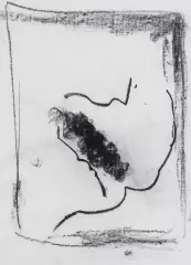 Jacek Sempoliński, Czaszka (SP), 1998, węgiel, papier żeberkowy