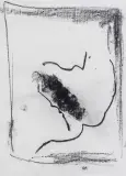 Jacek Sempoliński, Czaszka (SP), 1998, węgiel, papier żeberkowy