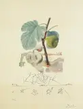 CZŁOWIEK FIGA, Z CYKLU „FLORDALI®" by Salvador Dalí, 1969/70, litografia barwna, sucha igła, papier BFK RIVES, offered Oct 2021