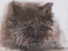 Bożena Wahl, Pies, pastel, papier