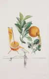 GREJPFRUT EROTYCZNY by Salvador Dalí, 1969/70, litografia barwna, sucha igła, papier, sold Jun 2021