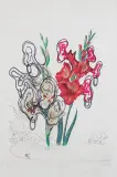 GLADIOLUS CUM AURIUM CORYMBO EXPECTANTIUM by Salvador Dalí, 1972, heliograwiura barwna, sucha igła, papier, sold Jun 2021