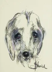 Bożena Wahl, GŁOWA PSA, pastel, kredka czarna, papier jasnożółty