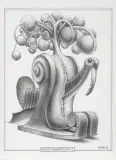 GĄSZCZ KALIGRAFICZNY- Ł by Jacek Yerka, 2021, ołówek, papier, sold Jun 2021