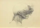 Igor Panchuk, BEZ TYTUŁU, 2018, ołówek, papier