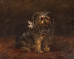 Harry Pennell, Queenie, ulei pe pânză