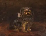 Harry Pennell, Queenie, ulei pe pânză