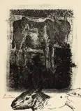 Pablo Picasso, Măgărușul, litografie