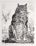 Pablo Picasso, Pisica, cromolitografie