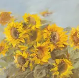 Corneliu Brudașcu, Floarea-soarelui, ulei pe pânză