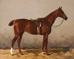 Emil Volkers, Pur-sânge, 1898, ulei pe pânză
