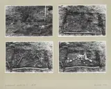 Marijan Molnar, Square of Earth II, 1974., photograph on paper glued on cardboard