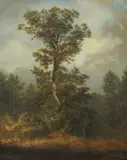 Ivan (Johann) Zasche, Forest, oil on canvas