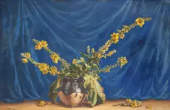 Mişu Teişanu, Lumânărica de câmp, 1934, pastel pe hârtie lipită pe carton