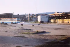 Mircea Cantor, Peisaj industrial, c-print