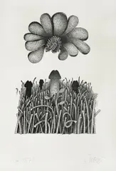 Miroslav Šutej, In the Field, 1976., serigraphy on paper