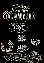 Jacques Hérold, Flori nocturne, litografie