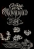 Jacques Hérold, Flori nocturne, litografie