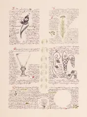 Pagină by Ștefan Câlția, 2018, tuș pe hârtie, sold Apr 2026