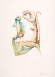 Jules Perahim, Ghimel, cromolitografie