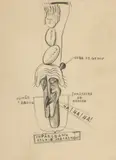 Victor Brauner, Topârceanu, regele sarcasmului, creion pe hârtie