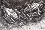Atanas Yaranov, Lobsters