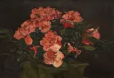 Ljubo Babić, Azaleas, cca. 1950., oil on paper