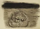 Dalibor Parac, Core, 1965., ink and washed ink on paper