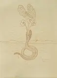 Antun Bahunek, Flowers in Jaws, 1969., sepia on paper