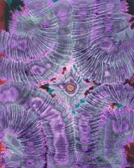 Răzvan Năstase, Inspired by Nature, 2024, gesso, pigment și ulei pe panou de lemn; culoare șlefuită și rașchetată după aplicare