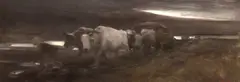 Nicolae Grigorescu, Car cu boi, la asfințit, ulei pe pânză