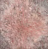 Horia Bernea, Prapor, 1980, ulei pe pânză