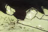 Florin Mitroi, Nocturnă, 1989, tempera pe pânză