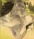 Florin Ciubotaru, Cruce