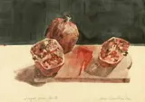 Mircia Dumitrescu, Sângele rodiei tăiate, 2004, acuarelă pe hârtie